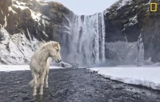 National Geographic подводит итоги конкурса на лучшего трэвел-фотографа National Geographic подводит итоги конкурса на лучшего трэвел-фотографа