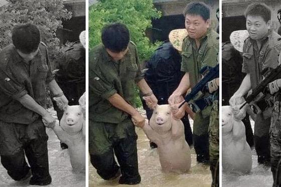 Правдивые фотографии, показывающие как СМИ манипулируют нашим мнением Правдивые фотографии, показывающие как СМИ манипулируют нашим мнением