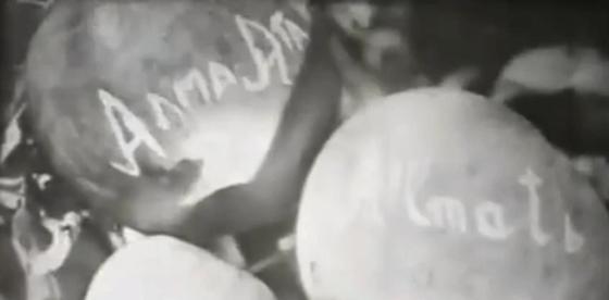Каким был Алматы в 1935 году: уникальные кадры появились в Сети (видео) Каким был Алматы в 1935 году: уникальные кадры появились в Сети (видео)