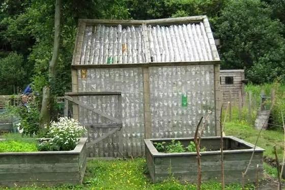 парник из пластиковых бутылок парник из пластиковых бутылок