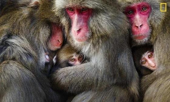 National Geographic подводит итоги конкурса на лучшего трэвел-фотографа National Geographic подводит итоги конкурса на лучшего трэвел-фотографа