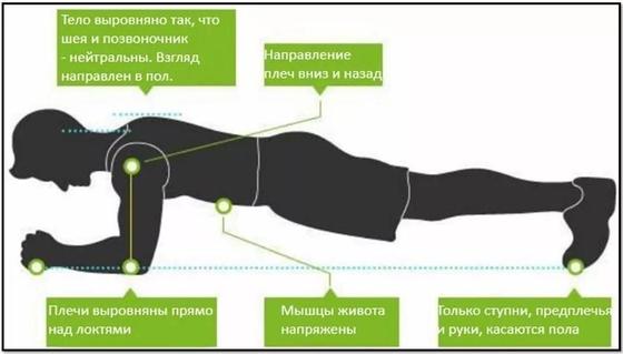 Планка: польза и вред для организма Планка: польза и вред для организма