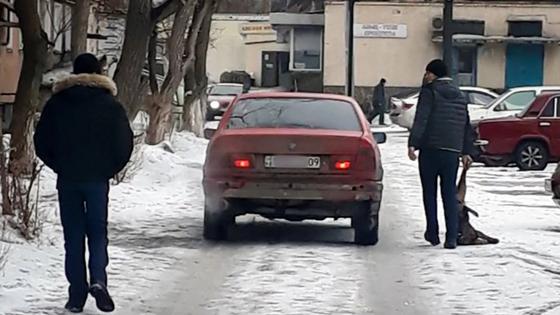Мужчина с ружьем расстреливал собак на глазах у прохожих в Сарани Мужчина с ружьем расстреливал собак на глазах у прохожих в Сарани