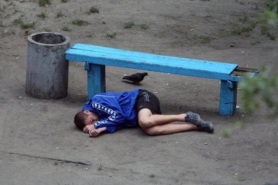 Фотограф четыре года снимал, что происходит на лавочке Фотограф четыре года снимал, что происходит на лавочке