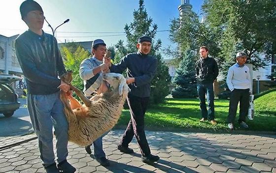 Праздник Курбан-айт: сколько дней отдыхаем Праздник Курбан-айт: сколько дней отдыхаем