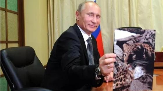 Коучинг по Владимиру Путину. В Британии вышла сатирическая книга лайфхаков от президента России Коучинг по Владимиру Путину. В Британии вышла сатирическая книга лайфхаков от президента России