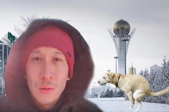 "Подснежники в виде какашек": Астана погрязла в собачьих отходах (видео) "Подснежники в виде какашек": Астана погрязла в собачьих отходах (видео)