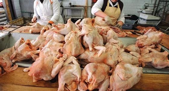 Сальмонеллу и свинину нашли в российской продукции в Казахстане Сальмонеллу и свинину нашли в российской продукции в Казахстане