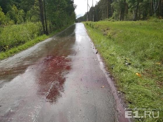 Страшное ДТП с участием квадроциклов: погибли четверо выпускников (фото) Страшное ДТП с участием квадроциклов: погибли четверо выпускников (фото)