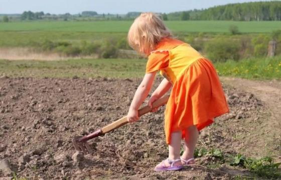 Автокөлік тұрағында жұмыс істейтін 2-сынып оқушысы елдің наразылығын тудырды Автокөлік тұрағында жұмыс істейтін 2-сынып оқушысы елдің наразылығын тудырды
