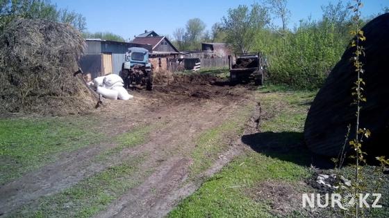 Завалившего свиными фекалиями часть села депутата наказали в ВКО Завалившего свиными фекалиями часть села депутата наказали в ВКО