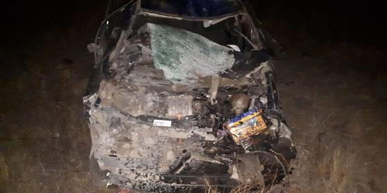 Автомобиль врезался в табун лошадей в ЗКО Автомобиль врезался в табун лошадей в ЗКО