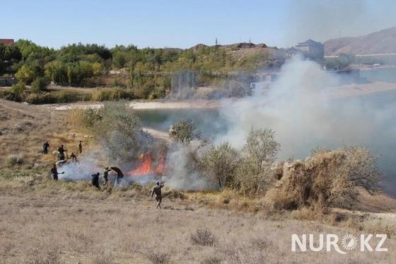 «30 кг под водой»: Что из себя представляют боевые пловцы ВС Казахстана (фото) «30 кг под водой»: Что из себя представляют боевые пловцы ВС Казахстана (фото)