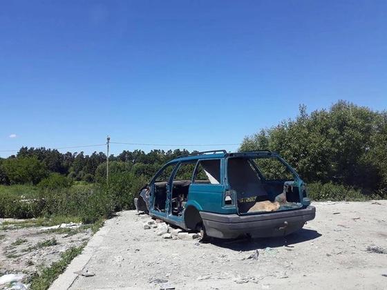 Перегонщики превратили село в свалку брошенных автомобилей (фото) Перегонщики превратили село в свалку брошенных автомобилей (фото)
