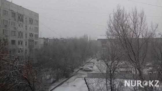 Весенний снег накрыл Алматы (фото) Весенний снег накрыл Алматы (фото)