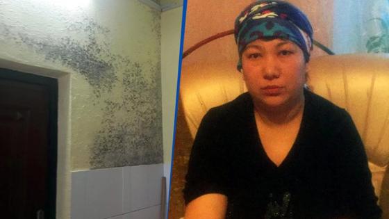 Басшысының балағатына шыдамаған тәрбиеші өзіне қол салар бұрын хат қалдырған (фото) Басшысының балағатына шыдамаған тәрбиеші өзіне қол салар бұрын хат қалдырған (фото)