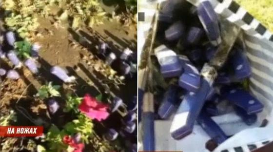 «Восстание ножей»: острые предметы в клумбах Караганды нашли уже в третий раз «Восстание ножей»: острые предметы в клумбах Караганды нашли уже в третий раз