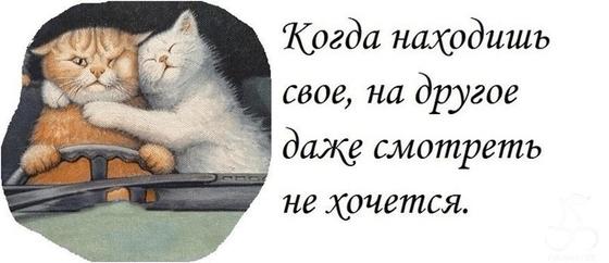 Красивые слова о любви из книг Красивые слова о любви из книг