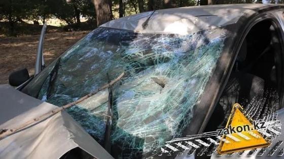 Не дошел до дома 20 метров: мужчину насмерть сбили под Алматы Не дошел до дома 20 метров: мужчину насмерть сбили под Алматы