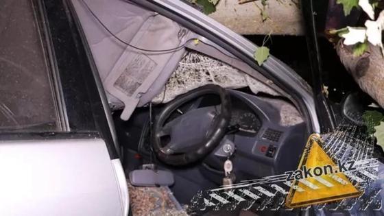 Упавшее на машину дерево в Алматы чуть не убило ее водителя (фото) Упавшее на машину дерево в Алматы чуть не убило ее водителя (фото)