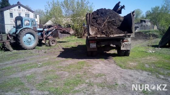 Завалившего свиными фекалиями часть села депутата наказали в ВКО Завалившего свиными фекалиями часть села депутата наказали в ВКО