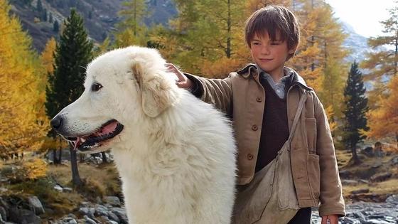 Лучшие семейные фильмы всех времен Лучшие семейные фильмы всех времен