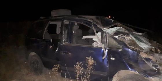 Автомобиль врезался в табун лошадей в ЗКО Автомобиль врезался в табун лошадей в ЗКО