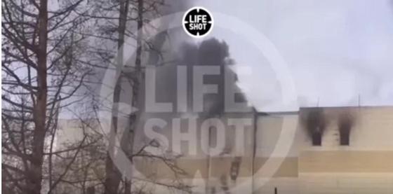 Видеодан кадр: life-shot Видеодан кадр: life-shot