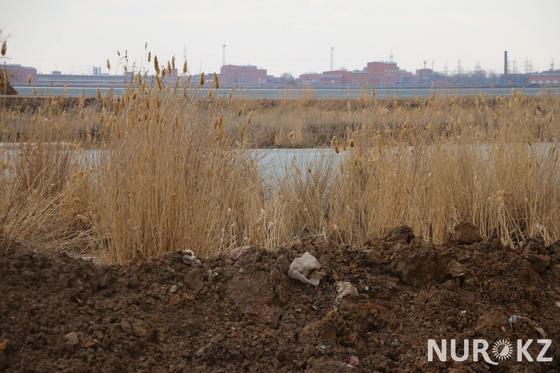 Талдыколь наступает: Астанчане боятся утонуть в грязи, мусоре и сточных водах (фото) Талдыколь наступает: Астанчане боятся утонуть в грязи, мусоре и сточных водах (фото)