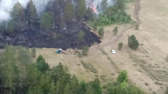 "Ертіс орманы" резерватындағы өрт "Ертіс орманы" резерватындағы өрт