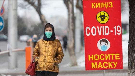 Тәжвирус карантин Тәжвирус карантин