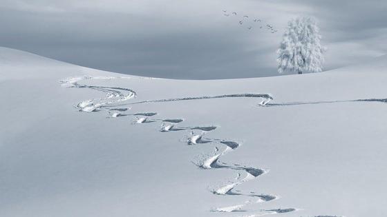 снег снег
