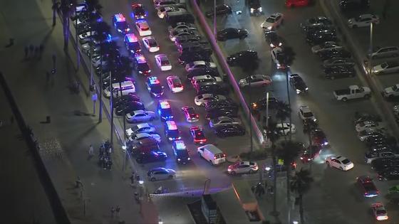 Полицейские разогнали пришедших на вечеринку в TikTok Полицейские разогнали пришедших на вечеринку в TikTok