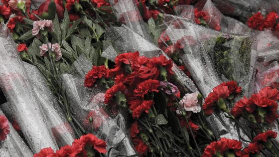 Гвоздики Гвоздики