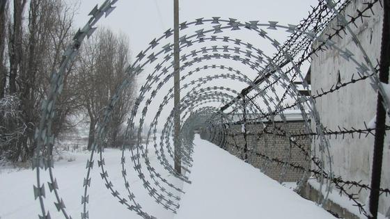 Колючая проволока в тюрьме Колючая проволока в тюрьме