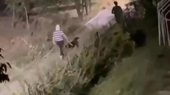 Видеодан кадр Видеодан кадр