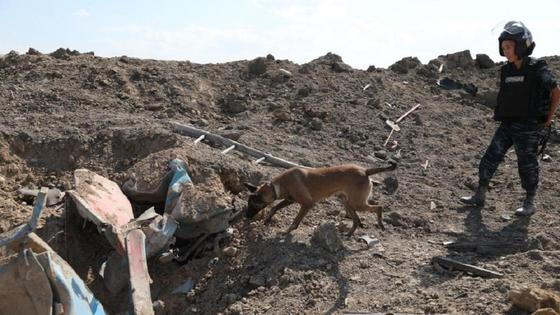 Поиски пропавших без вести при ЧП Поиски пропавших без вести при ЧП
