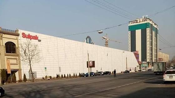 Вырубленные деревья в центре Алматы Вырубленные деревья в центре Алматы