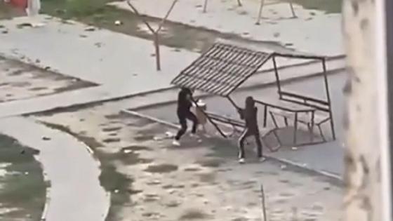 Девушки ломают беседку Девушки ломают беседку