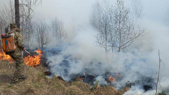 Пожарный тушит огонь в лесу Пожарный тушит огонь в лесу