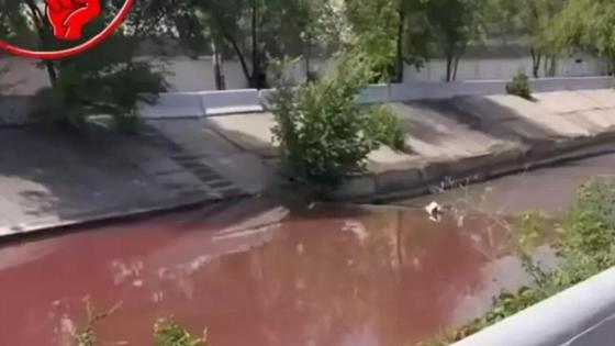 Видеодан алынған кадр Видеодан алынған кадр