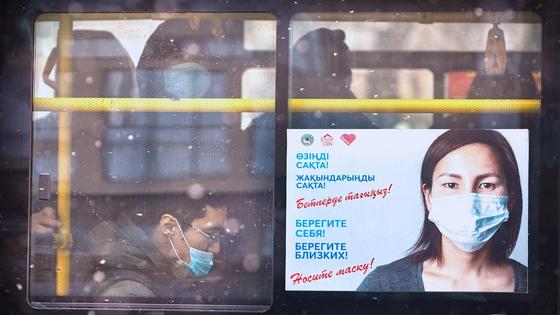 Коронавирус Коронавирус