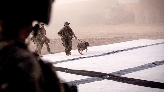 Американский военный держит собаку на поводке Американский военный держит собаку на поводке