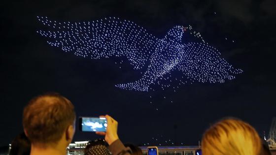голубь в небе голубь в небе