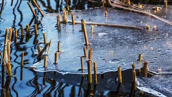 Лед тает в водоеме Лед тает в водоеме
