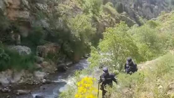 Спасатели идут вдоль берега Спасатели идут вдоль берега