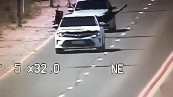 Видеодағы кадр Видеодағы кадр