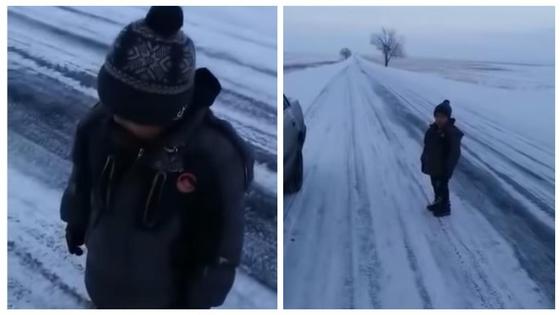 Адасқан бала Адасқан бала