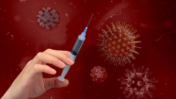 Вакцинация Вакцинация