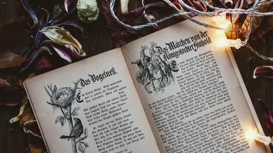 раскрытая книга раскрытая книга